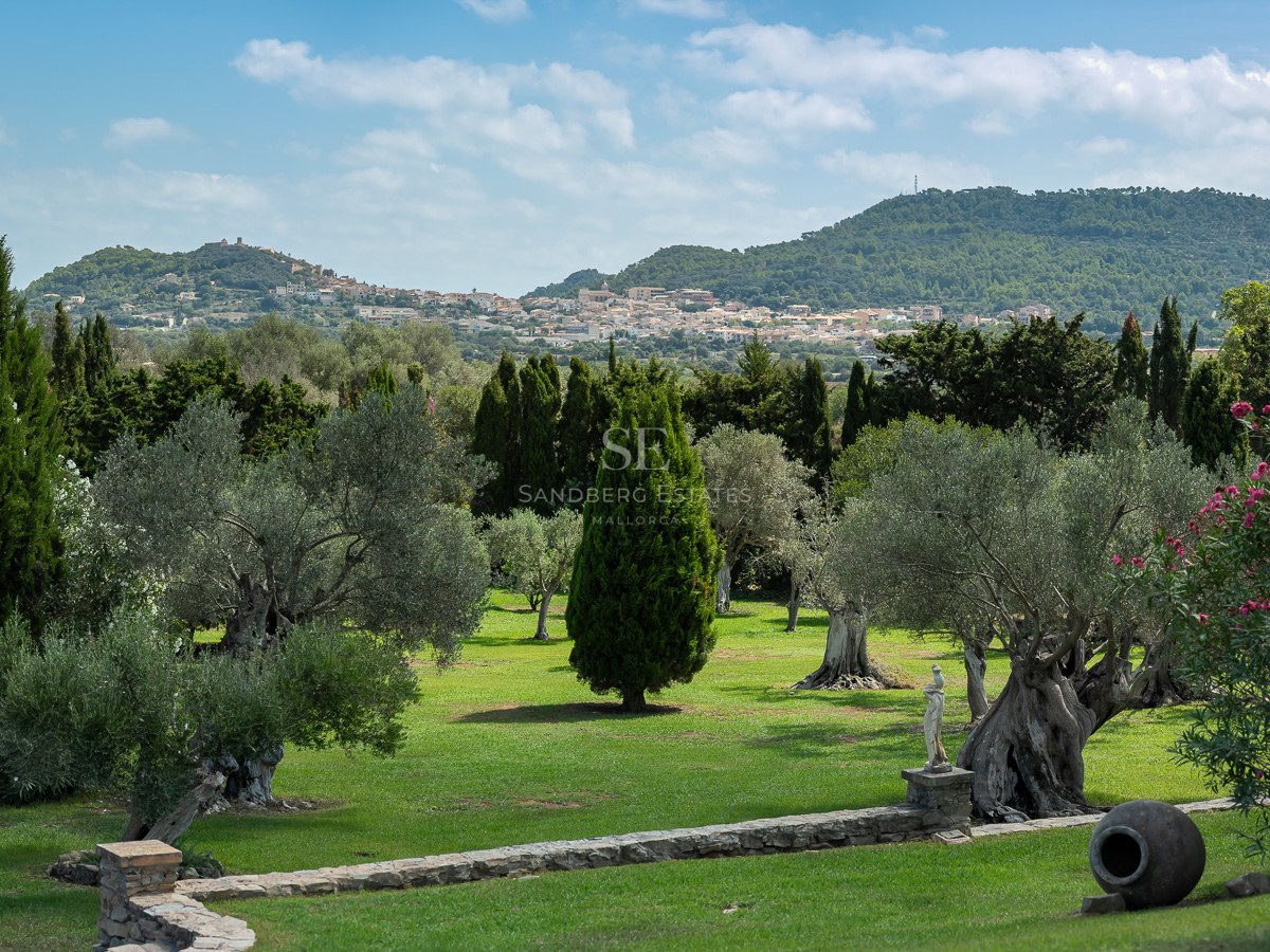 Üppiger mediterraner Garten mit alten Olivenbäumen und Steinmauern, Blick auf ein Bergdorf und Berge.