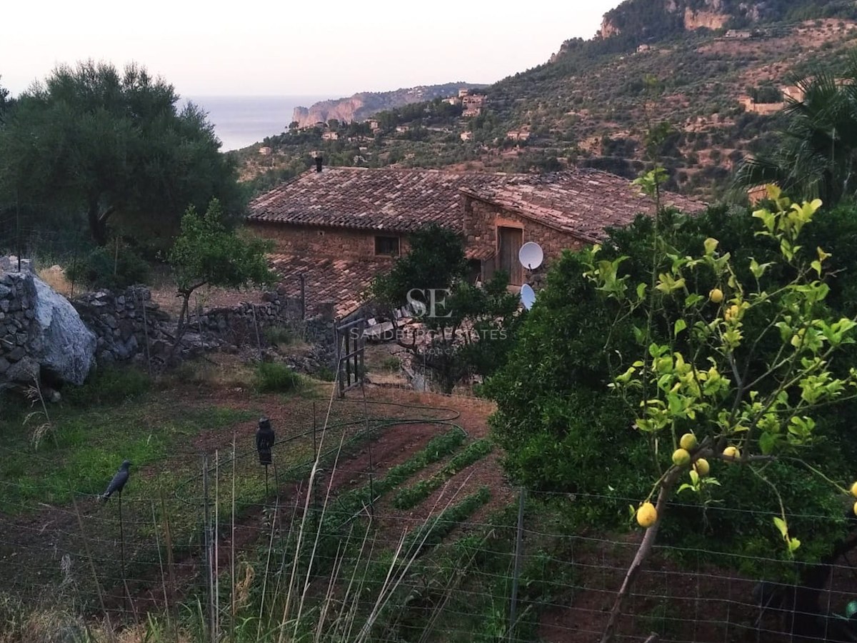 A traditional stone house with a terracotta roof surrounded by a vegetable garden and lemon trees overlooking the sea.