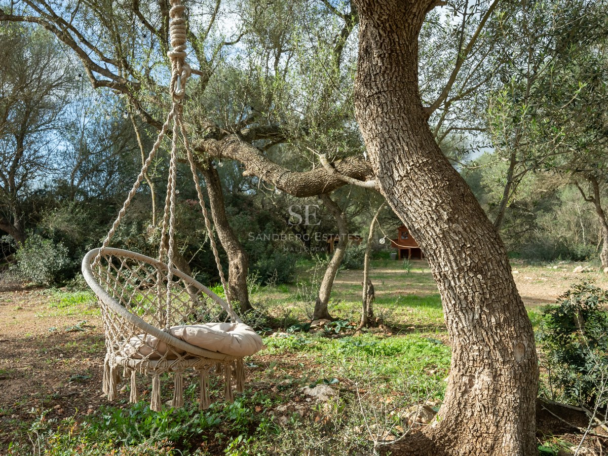 Fauteuil suspendu en macramé crème sous un olivier centenaire dans un jardin méditerranéen ensoleillé.