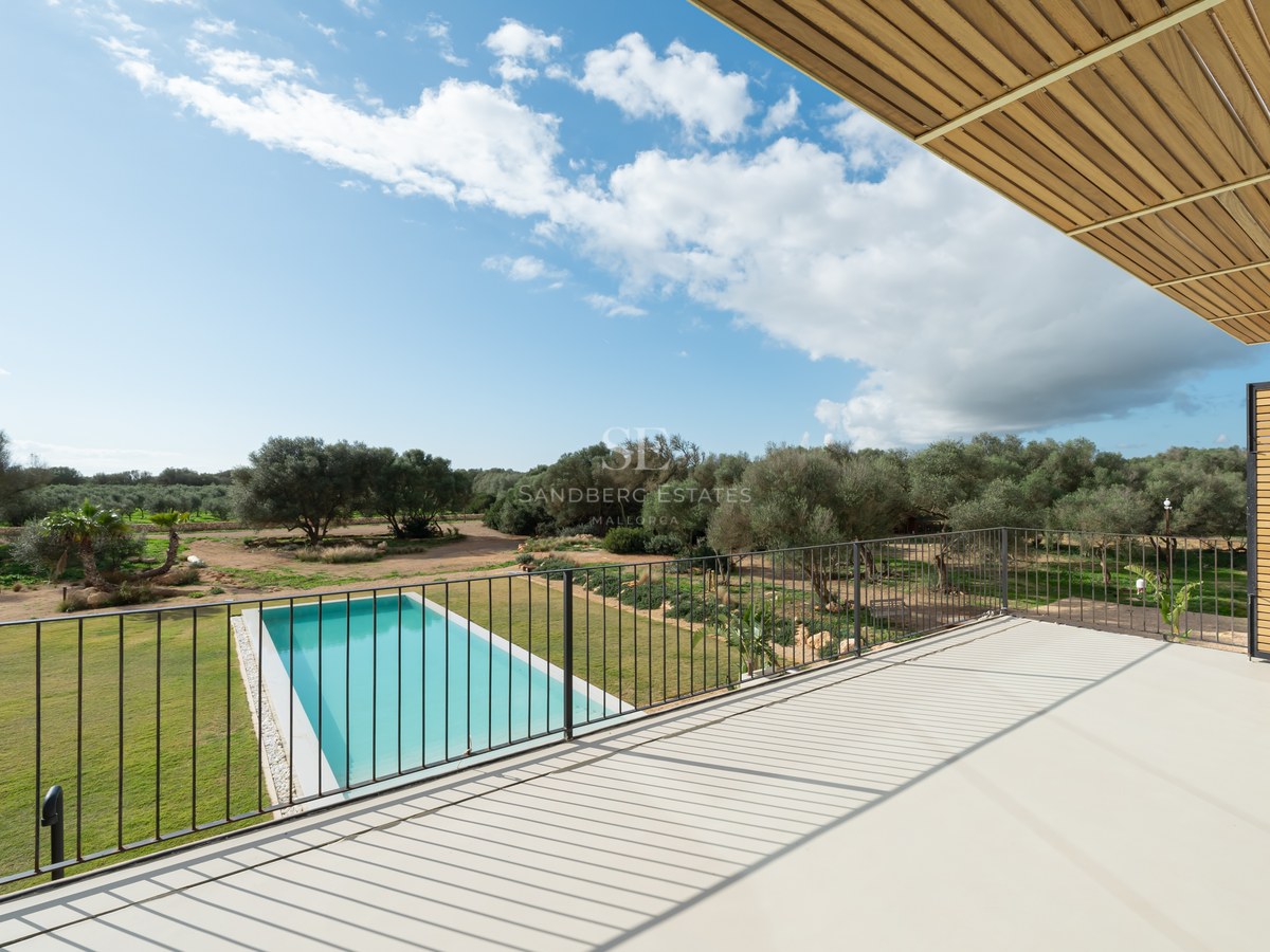 Vue surélevée depuis une terrasse blanche sur une piscine rectangulaire entourée de pelouse et d'oliviers.