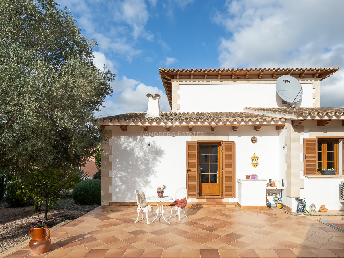 Sun-drenched terrace featuring terracotta tiles, white villa facade with wooden shutters, and a mature olive tree.