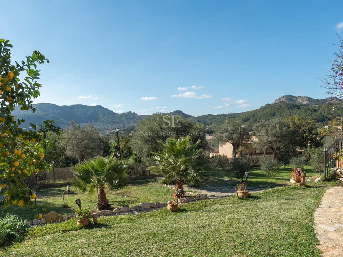 Jardin verdoyant avec palmiers et pots en terre cuite offrant une vue sur les montagnes sous un ciel clair.