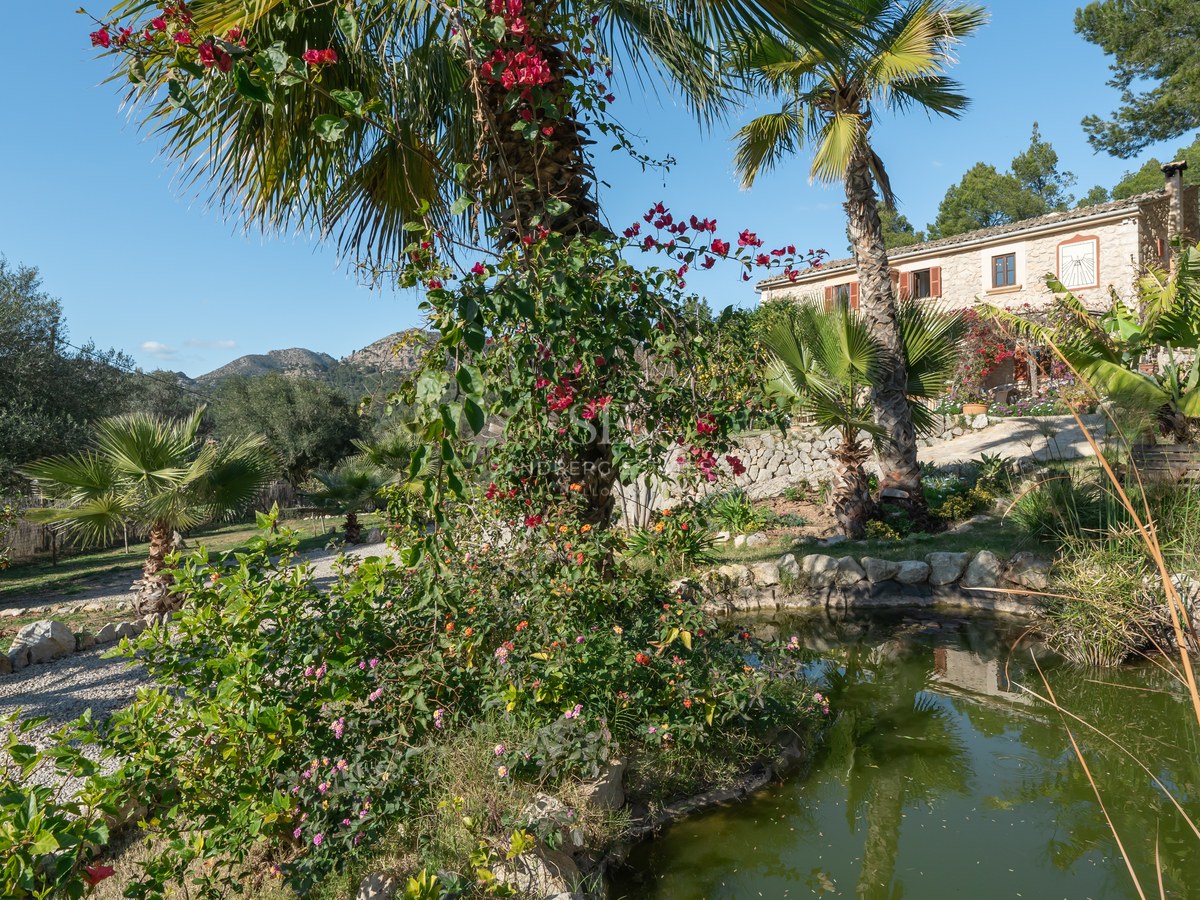 Jardin paysager avec étang en pierre naturelle, palmiers et bougainvilliers avec vue sur la montagne.