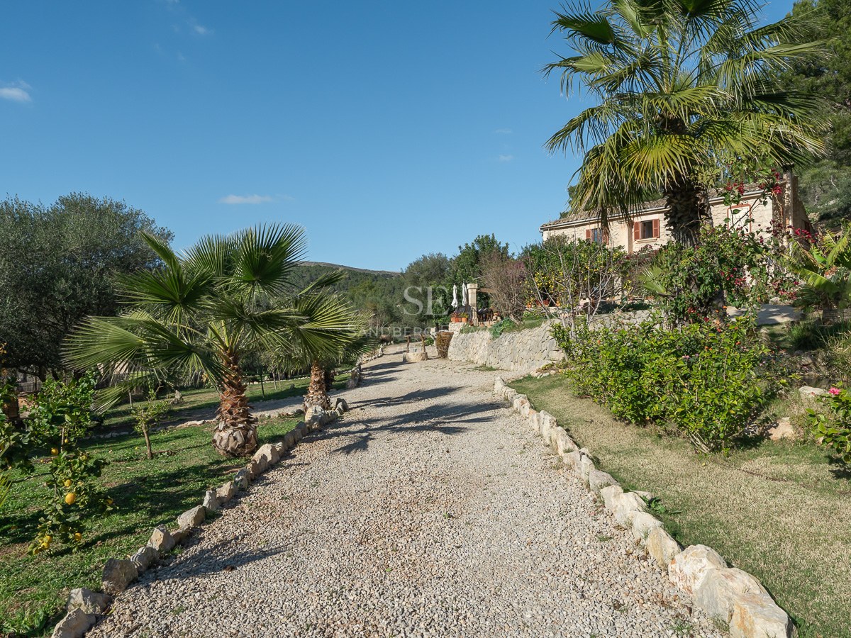 Une longue allée de gravier bordée de pierres naturelles et de palmiers menant à une villa méditerranéenne.