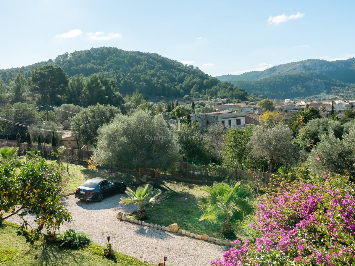 Allée en gravier bordée de pierres, entourée d'oliviers et de fleurs roses, surplombant un paysage de montagnes vertes.