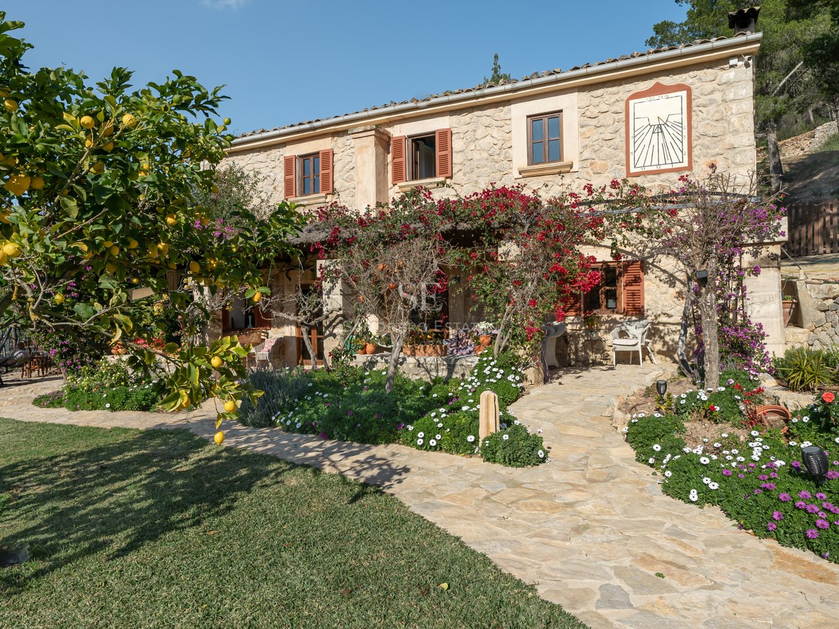 Extérieur d'une villa en pierre avec bougainvilliers, citronnier et chemin pavé sous une lumière naturelle vive.