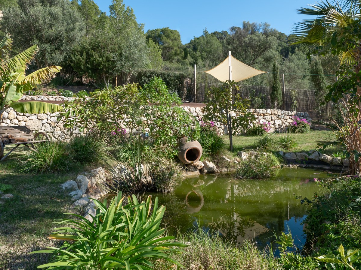Un étang de jardin naturel entouré de verdure, une jarre en terre cuite et un mur traditionnel en pierre sèche.