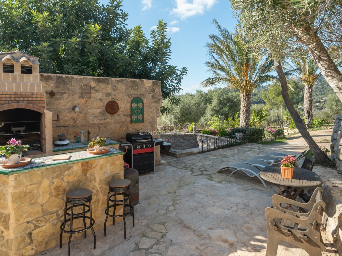Terrasse en pierre avec bar extérieur, barbecue et chaises longues entourée d'oliviers et de palmiers.
