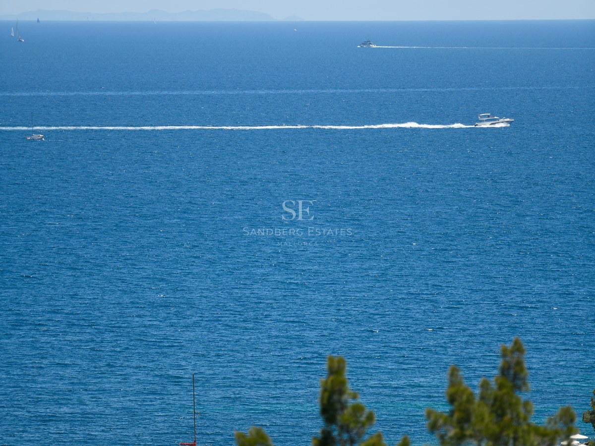 Vista despejada del mar azul con barcos y pinos en primer plano bajo un cielo claro.