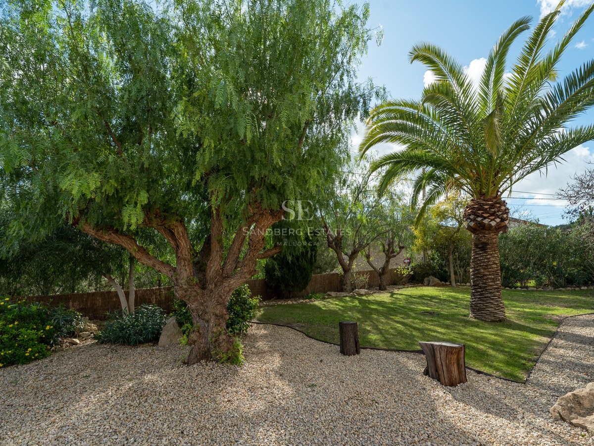 Jardín con pimentero grande, palmera, camino de grava y césped bajo un cielo azul despejado.