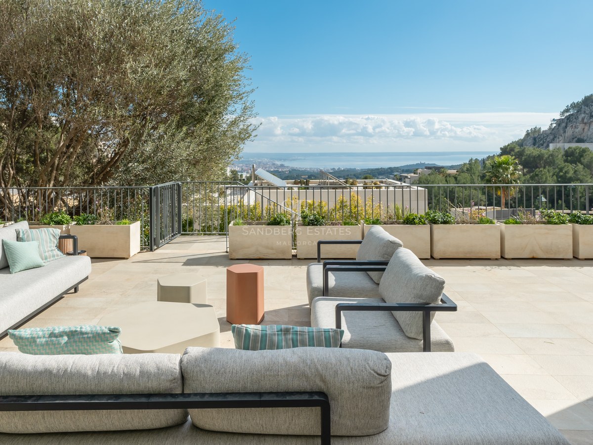Terraza moderna con sofás grises, suelo de piedra natural, un olivo y vistas despejadas al mar y la costa.