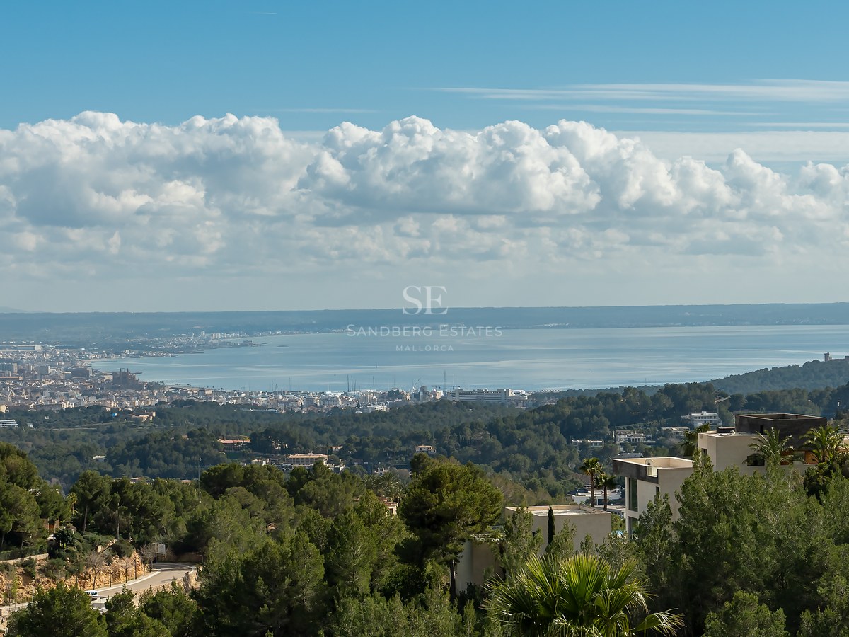 Vista panorámica de la bahía de Palma y la costa mediterránea desde una colina elevada con pinos y cielo despejado.