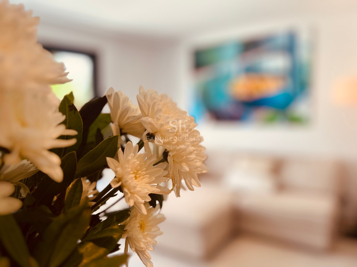 Close-up of white flowers in a living room with a colorful abstract painting in the blurred background.
