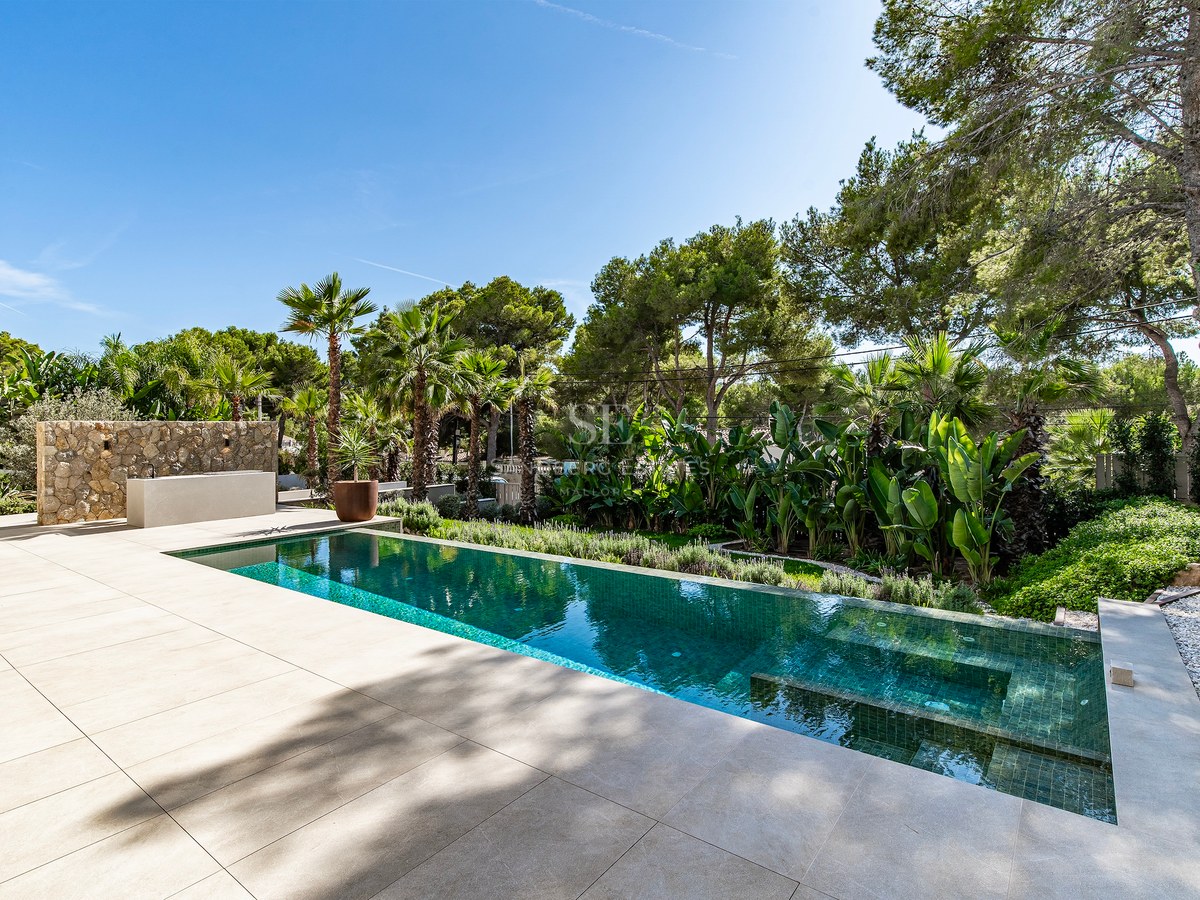 Rectangular turquoise swimming pool surrounded by beige stone terrace and dense green palm trees under a blue sky.