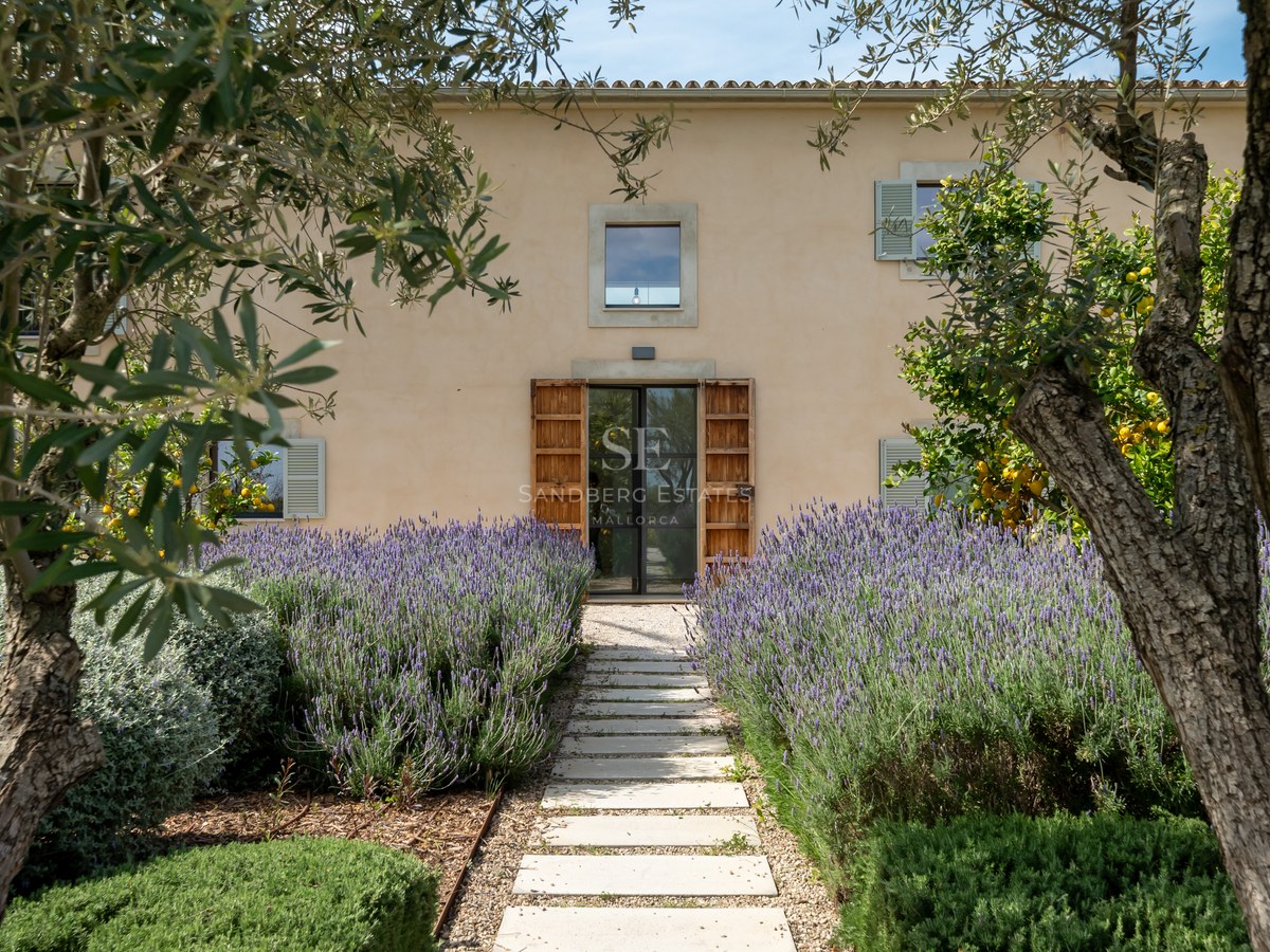 Stenstig omgiven av blommande lavendel leder till en modern glasdörr i en traditionell ockrafärgad villa.
