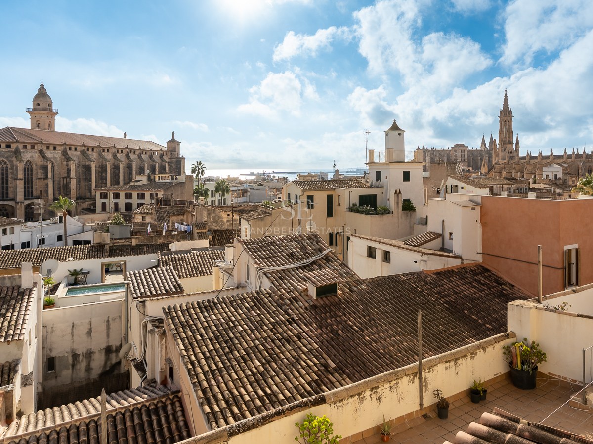 Vista desde azotea del centro histórico de Palma con la Catedral y la iglesia de San Francisco bajo un cielo despejado.