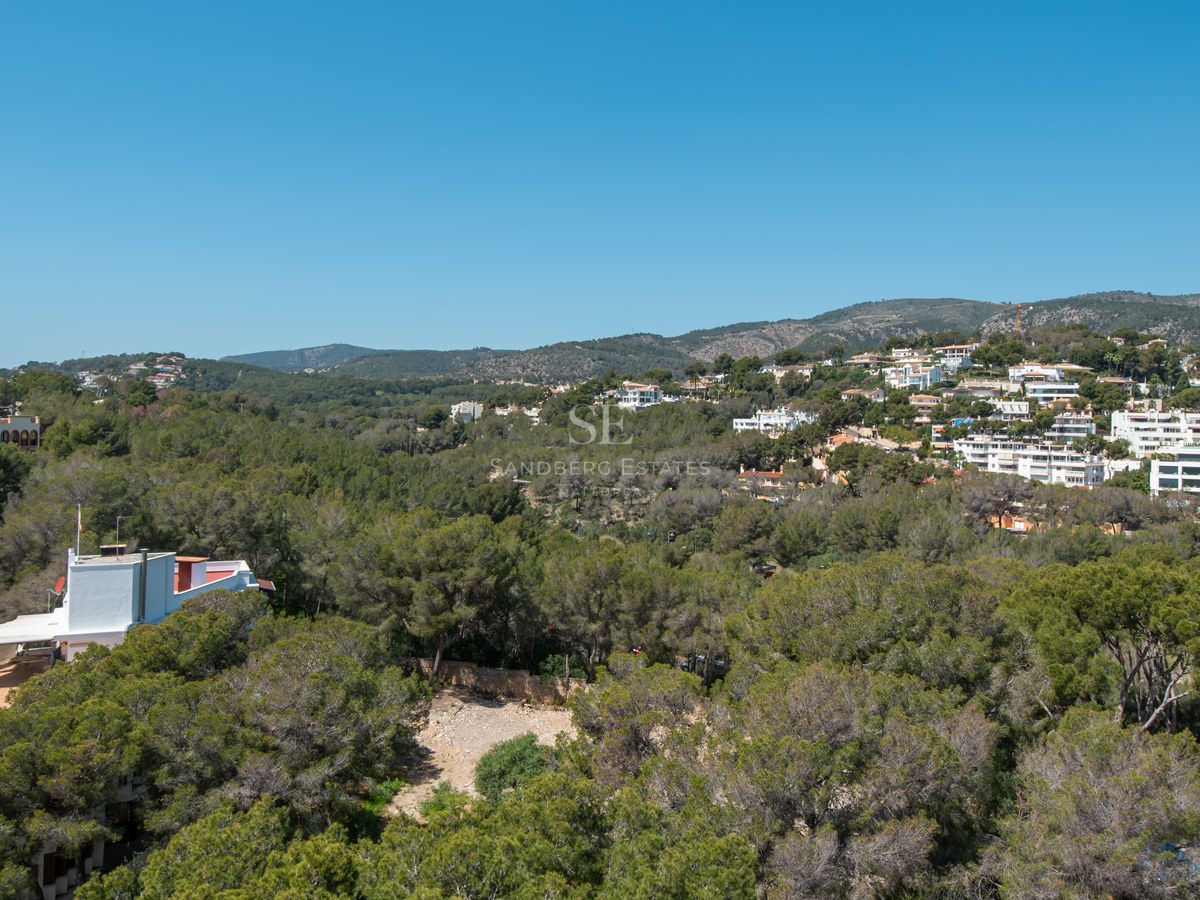 Elevated view of white villas nestled among green pine trees on a sunny hillside with distant mountains.