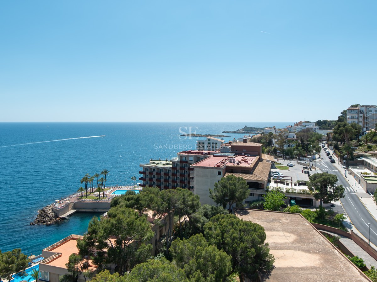 Elevated view of the coastline featuring buildings, pine trees, and the blue sea under a clear sunny sky.