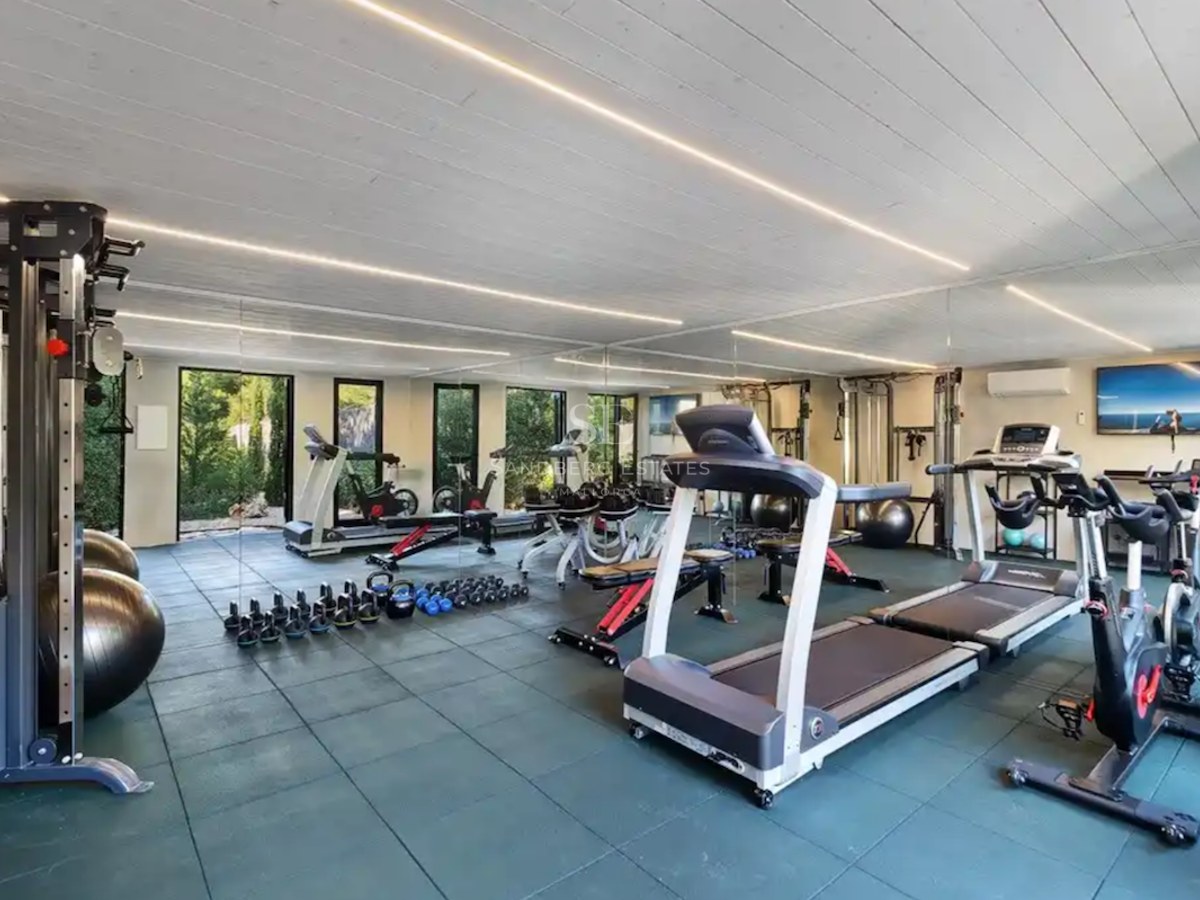 Moderner Fitnessraum mit Laufbändern, Hanteln und Spiegelwänden mit Blick ins Grüne.