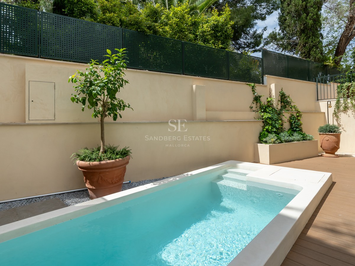 Piscina rectangular con escalones integrados, paredes color crema, maceta de terracota y vegetación exuberante.