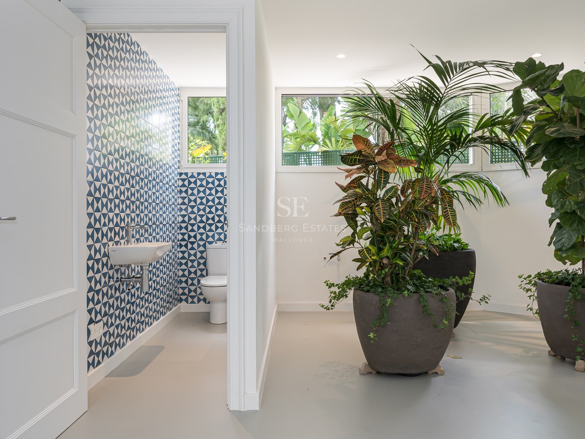Aseo de invitados con azulejos geométricos azules y blancos junto a un pasillo con grandes plantas de interior.