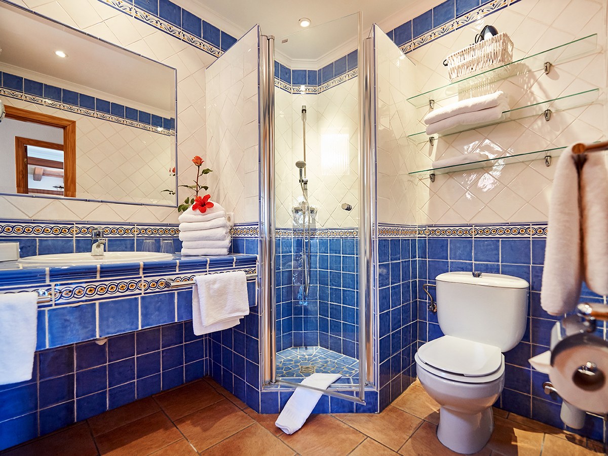 Badezimmer mit blau-weißen Fliesen, Glasdusche, Terrakottaboden und großem Spiegel.