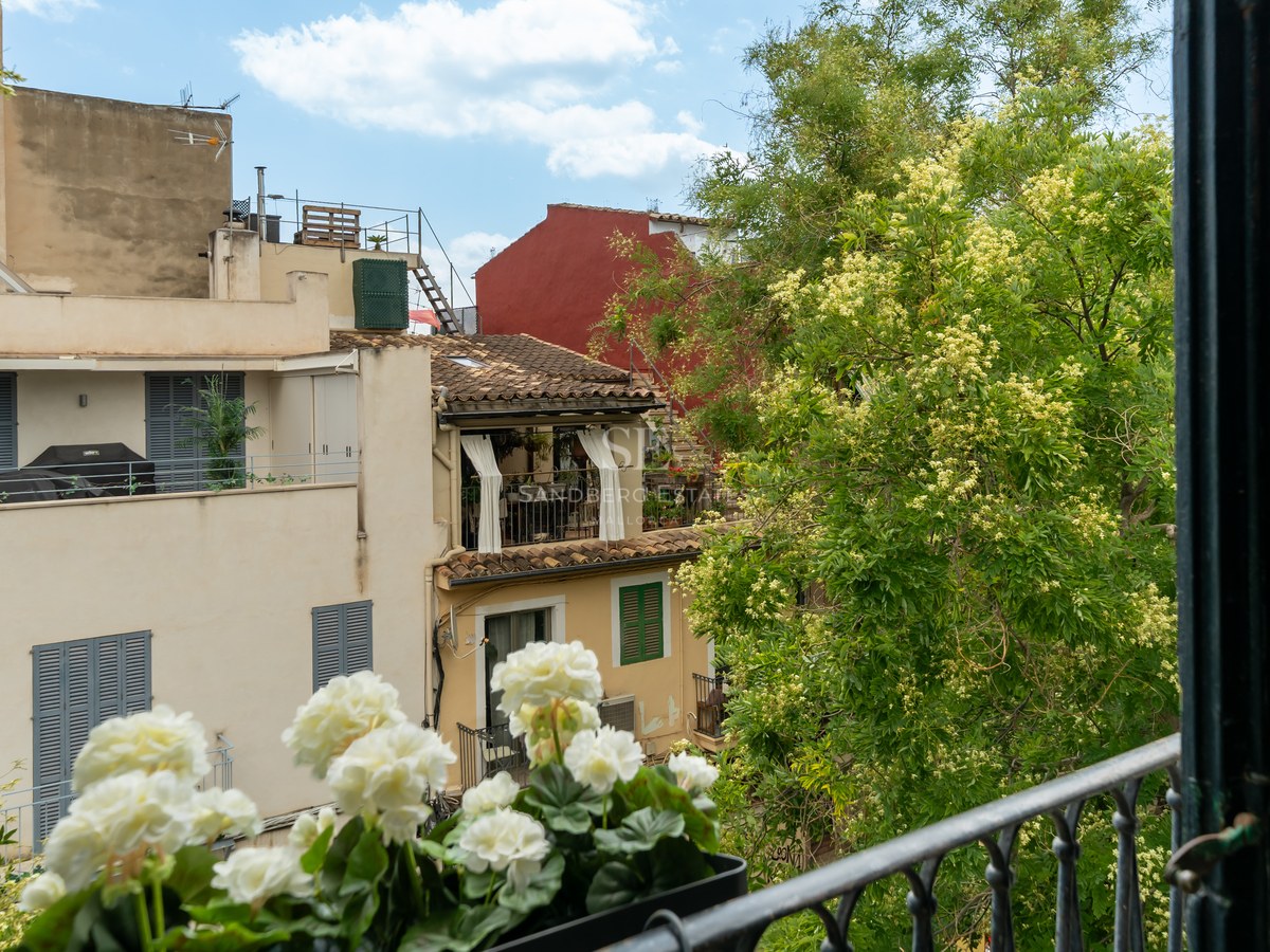Vista desde un balcón con barandilla de hierro y flores blancas hacia edificios mediterráneos y árboles frondosos.