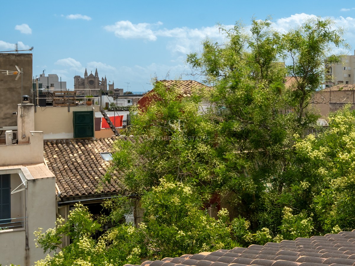 Vista sobre tejados de terracota hacia la Catedral de Palma bajo un cielo azul con vegetación exuberante.