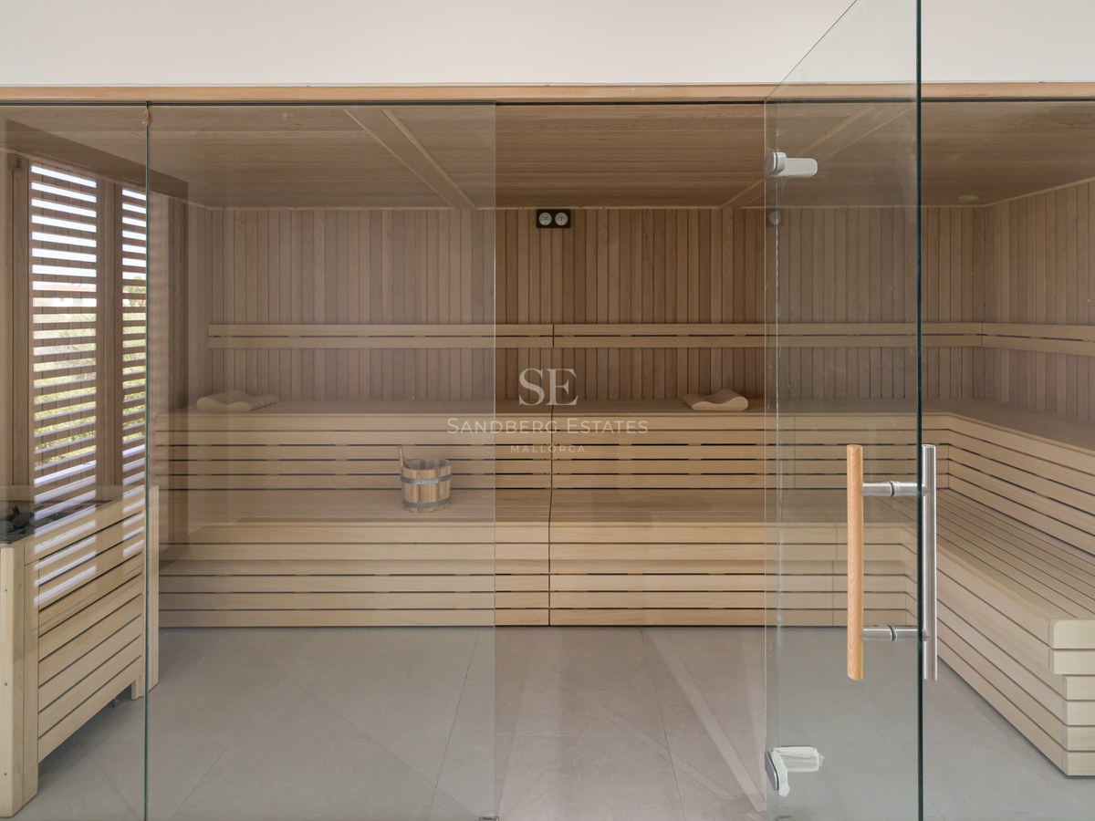 A spacious modern wood-paneled sauna featuring multi-level seating and a floor-to-ceiling glass entrance.