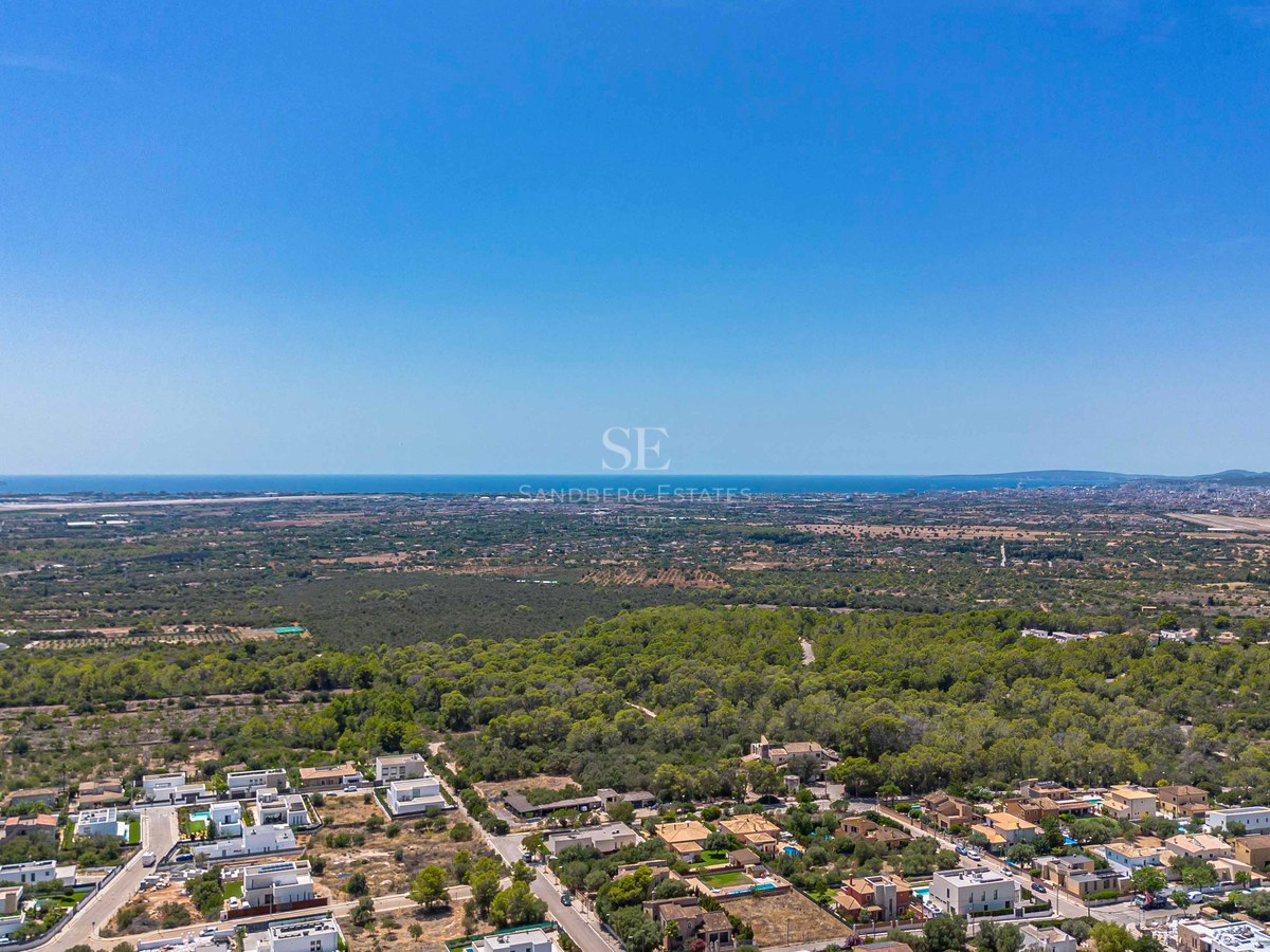 High-angle aerial view of a residential neighborhood surrounded by lush pine forests with the blue sea on the horizon.