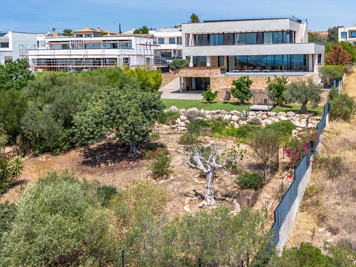 Wide exterior shot of a modern two-story villa with stone accents, large glass windows, and a lush olive garden.