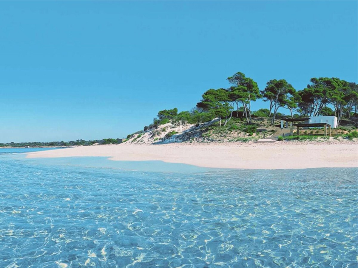 White sand beach with crystal clear turquoise water surrounded by pine trees under a clear blue sky.