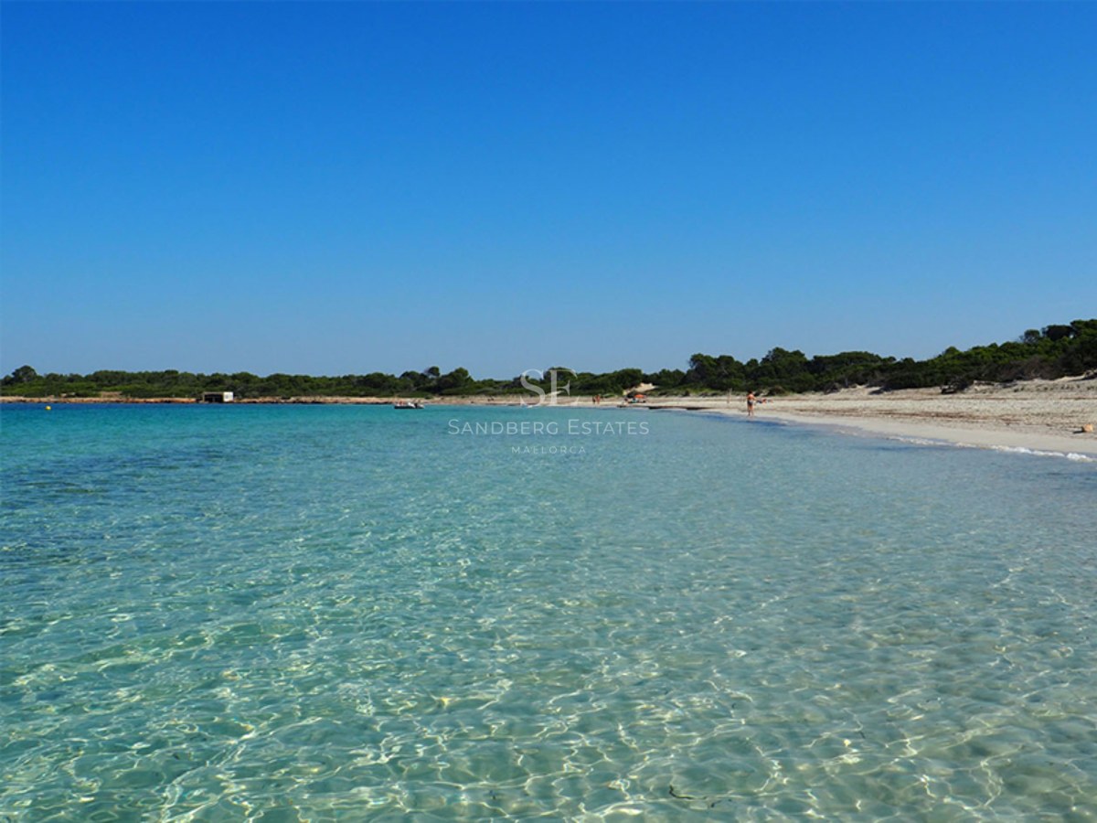 Crystal clear turquoise sea water ripples towards a white sandy beach with green coastal trees under a clear blue sky.