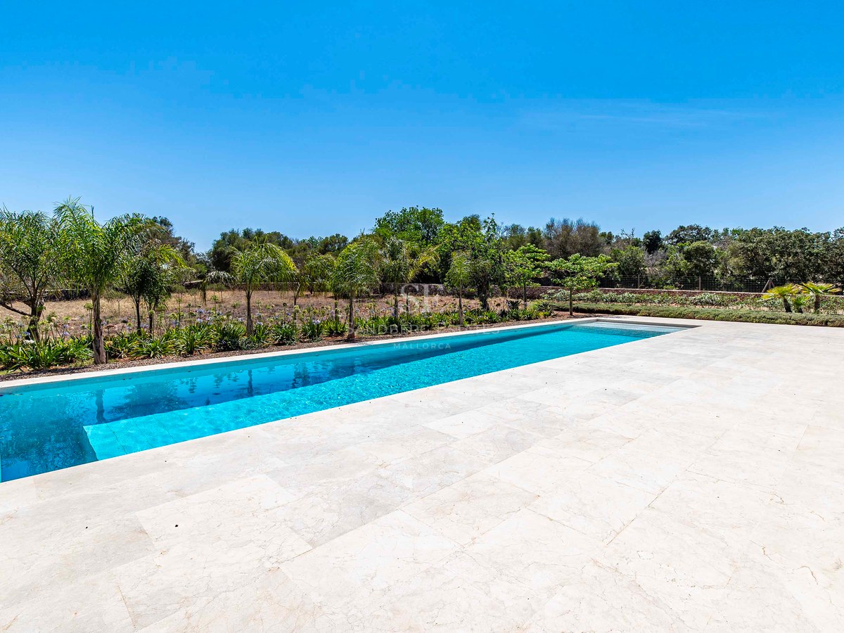 Piscina rectangular rodeada de baldosas de piedra marfil y palmeras bajo un cielo azul despejado.
