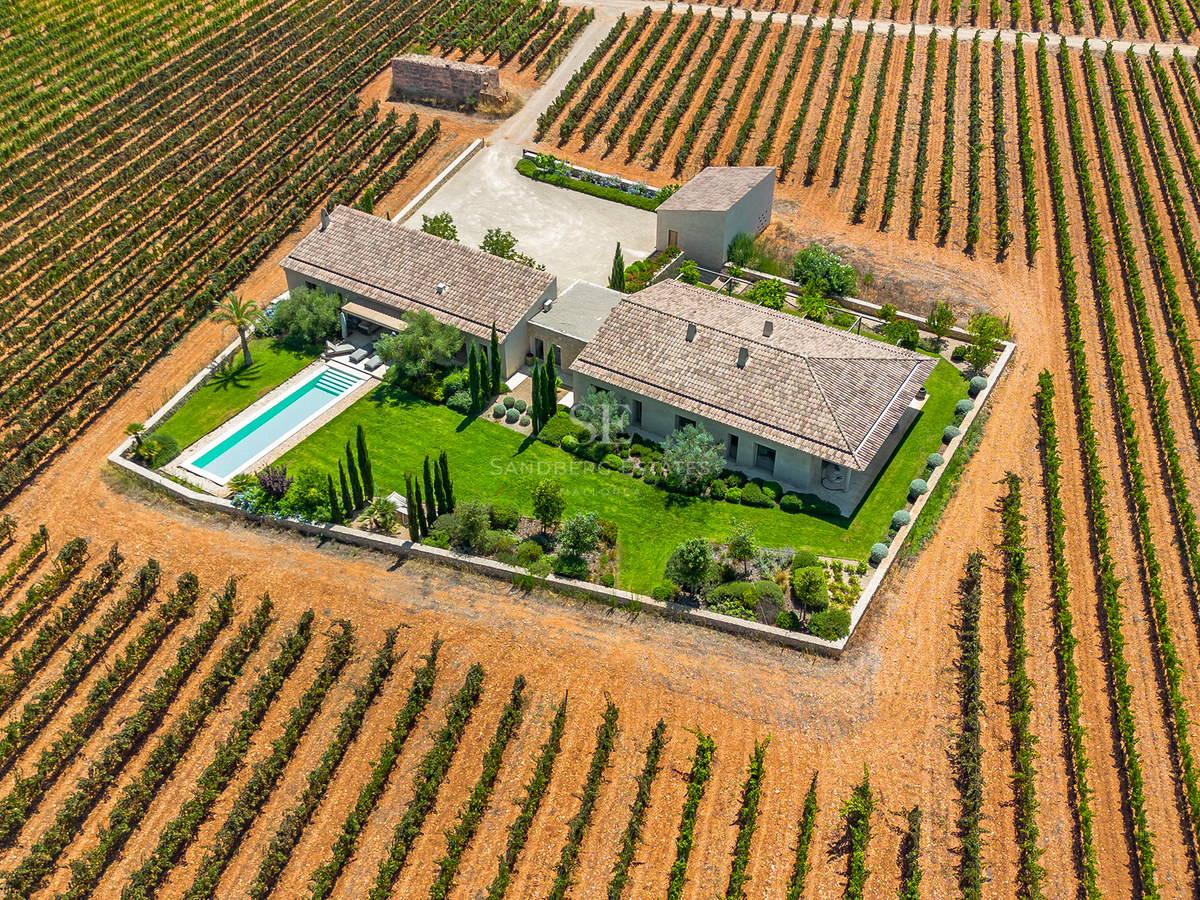 Vue aérienne d'une villa méditerranéenne moderne avec piscine, entourée de vastes rangées de vignes symétriques.
