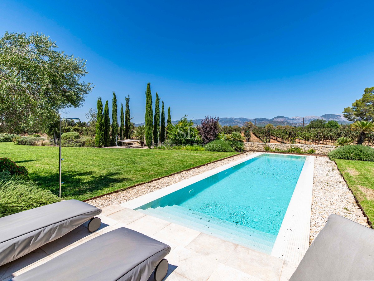 Piscine rectangulaire turquoise entourée d'une terrasse en pierre et d'un jardin avec vue sur les vignobles.