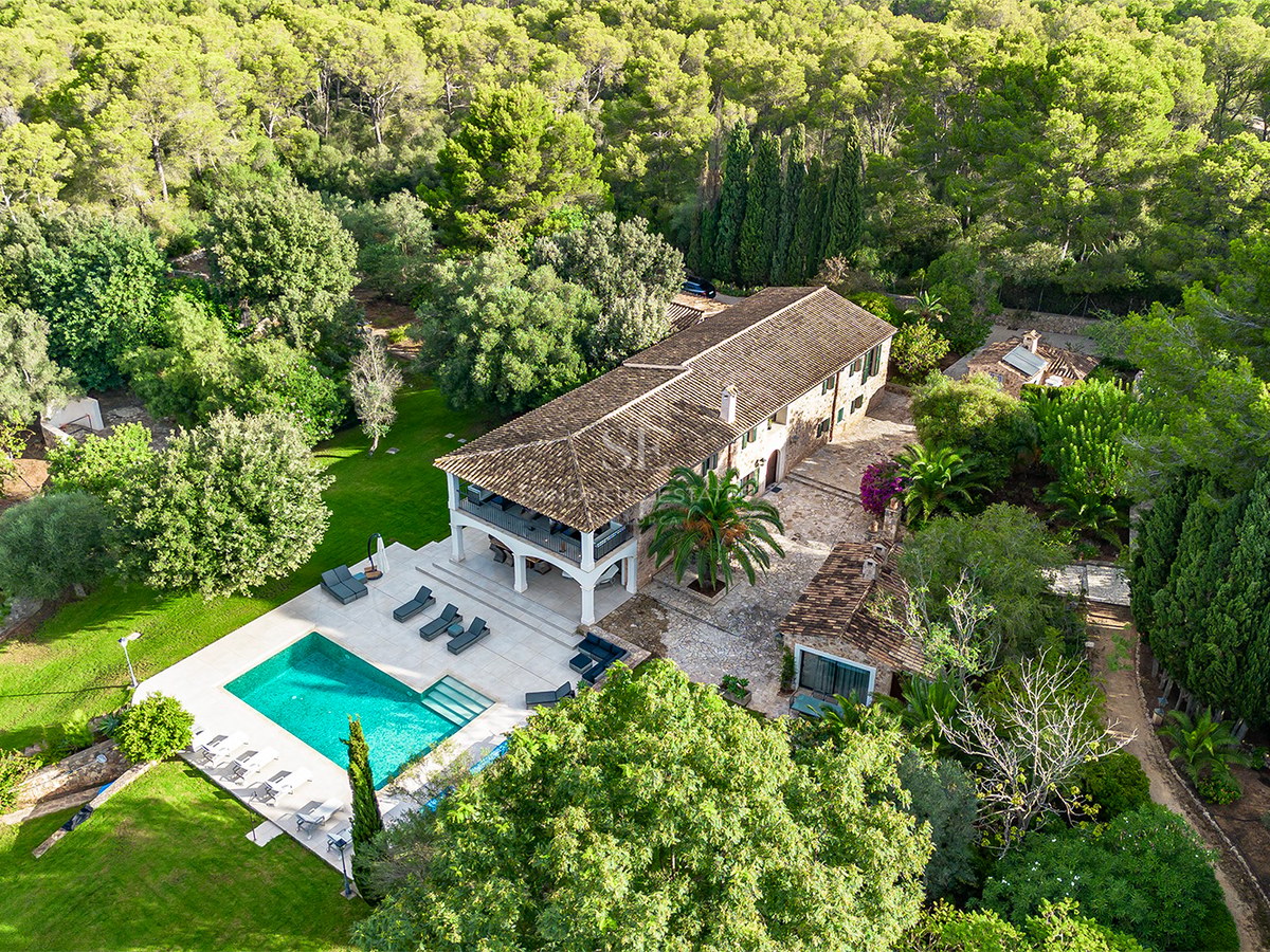 Vista aérea de una gran villa de piedra con piscina rodeada de un denso bosque de pinos mediterráneos.