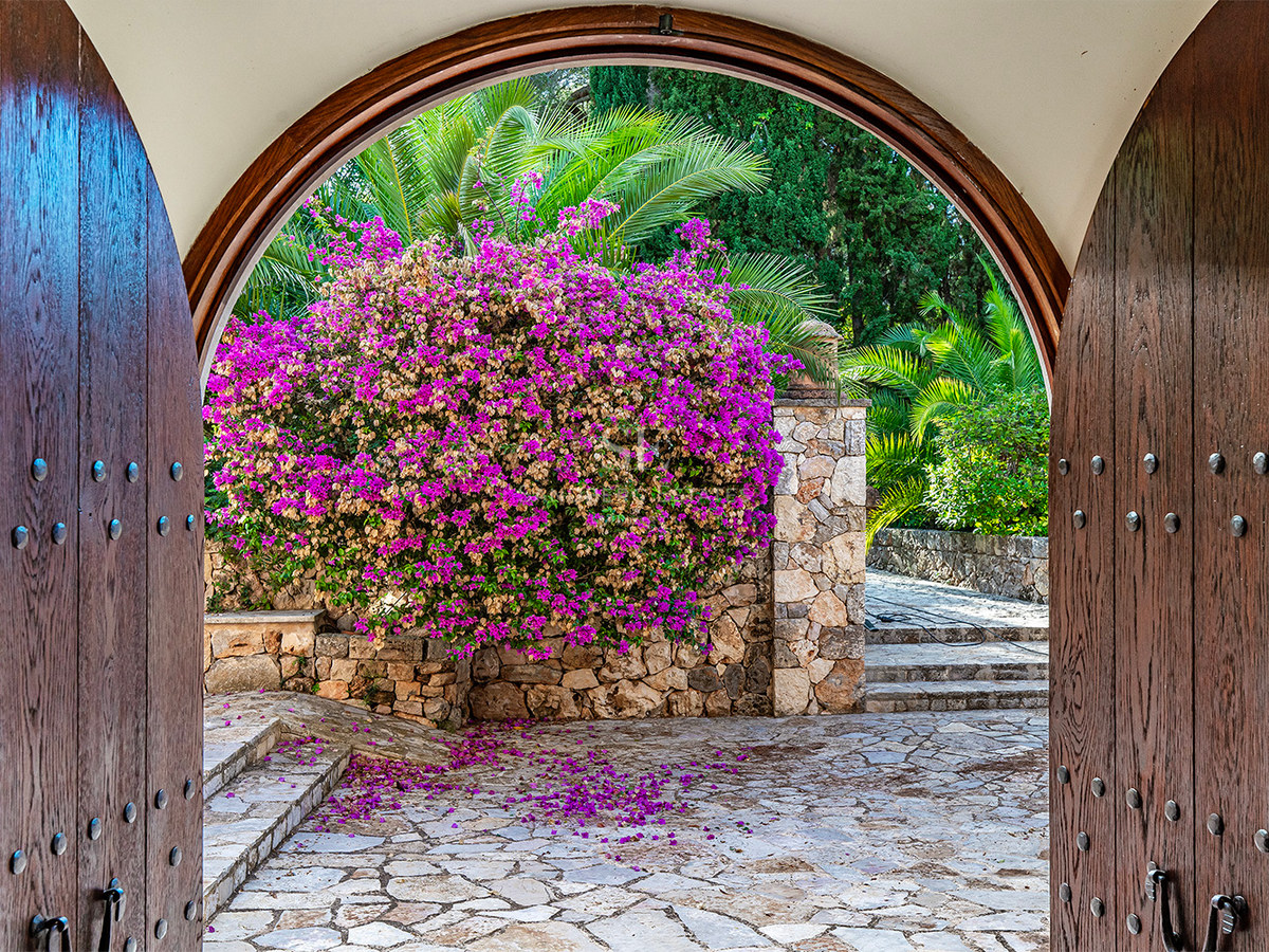 Vista desde puertas de madera tallada hacia un patio de piedra con buganvillas púrpuras y vegetación exuberante.