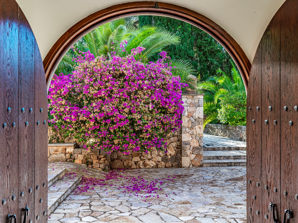 Vista a través de puertas de madera arqueadas hacia un patio mediterráneo con buganvilias y suelos de piedra.