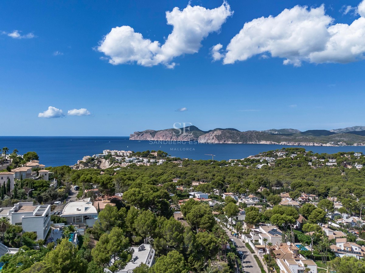 Vue aérienne de villas de luxe nichées dans une pinède surplombant la mer Méditerranée et les falaises.
