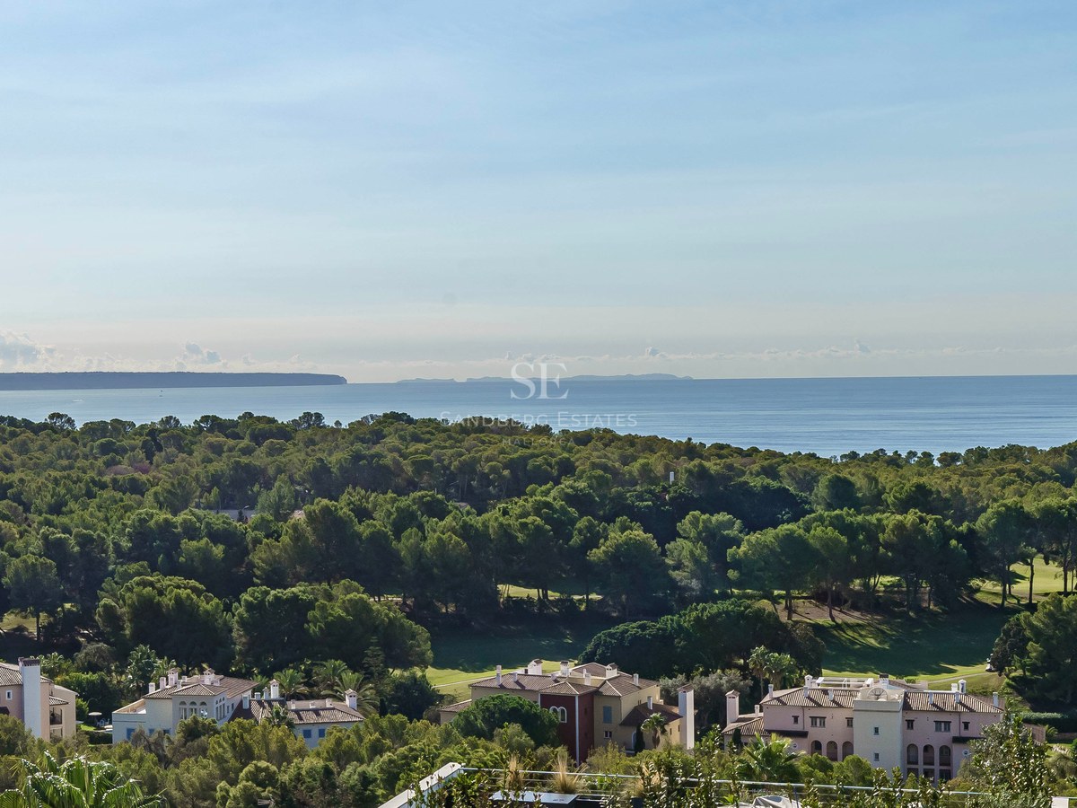 Vista elevada sobre un denso pinar que se extiende hacia el mar Mediterráneo bajo un cielo despejado.