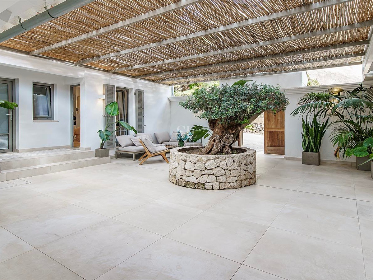 Terraza soleada con un olivo en macetero de piedra, pérgola de cañas y muebles de descanso elegantes.