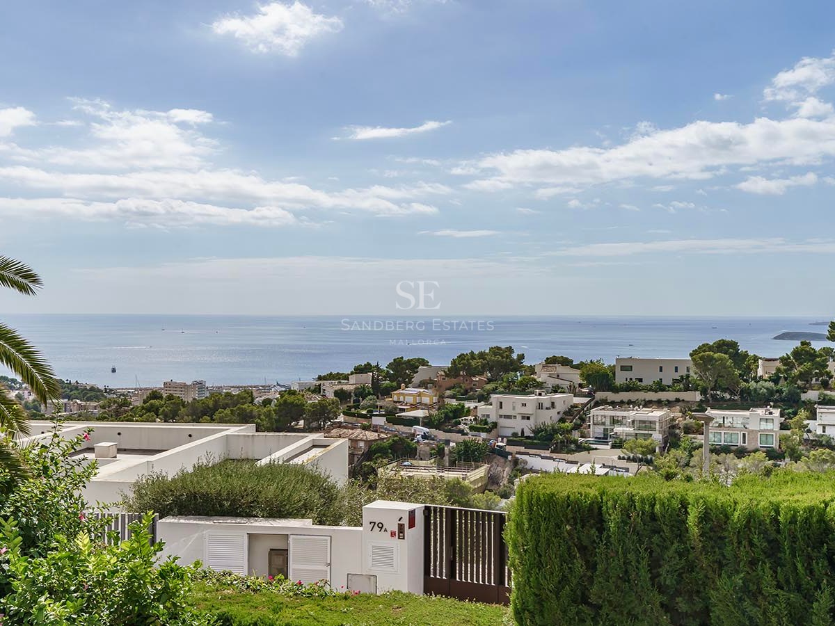 Amplia vista del mar azul y villas costeras bajo un cielo despejado con palmeras en primer plano.