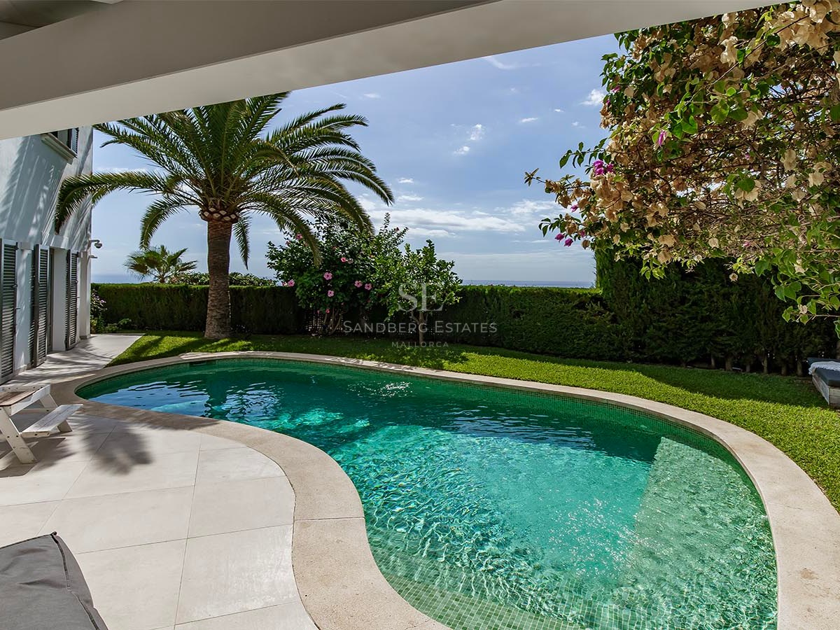 Piscina de forma irregular rodeada de césped verde, una palmera y vistas al mar bajo un cielo despejado.