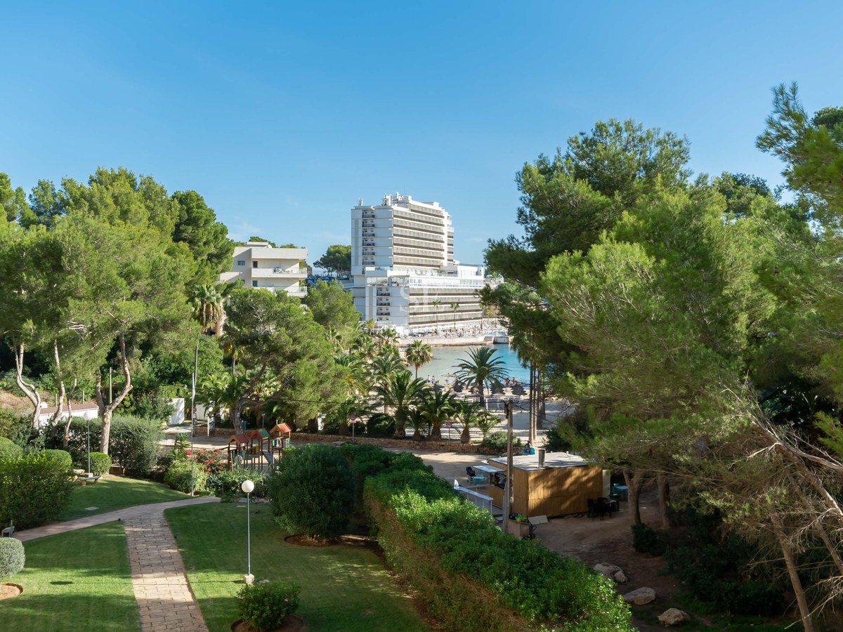 Jardín verde cuidado con caminos de piedra, pinos y un edificio alto con vistas a una bahía bajo un cielo azul despejado.