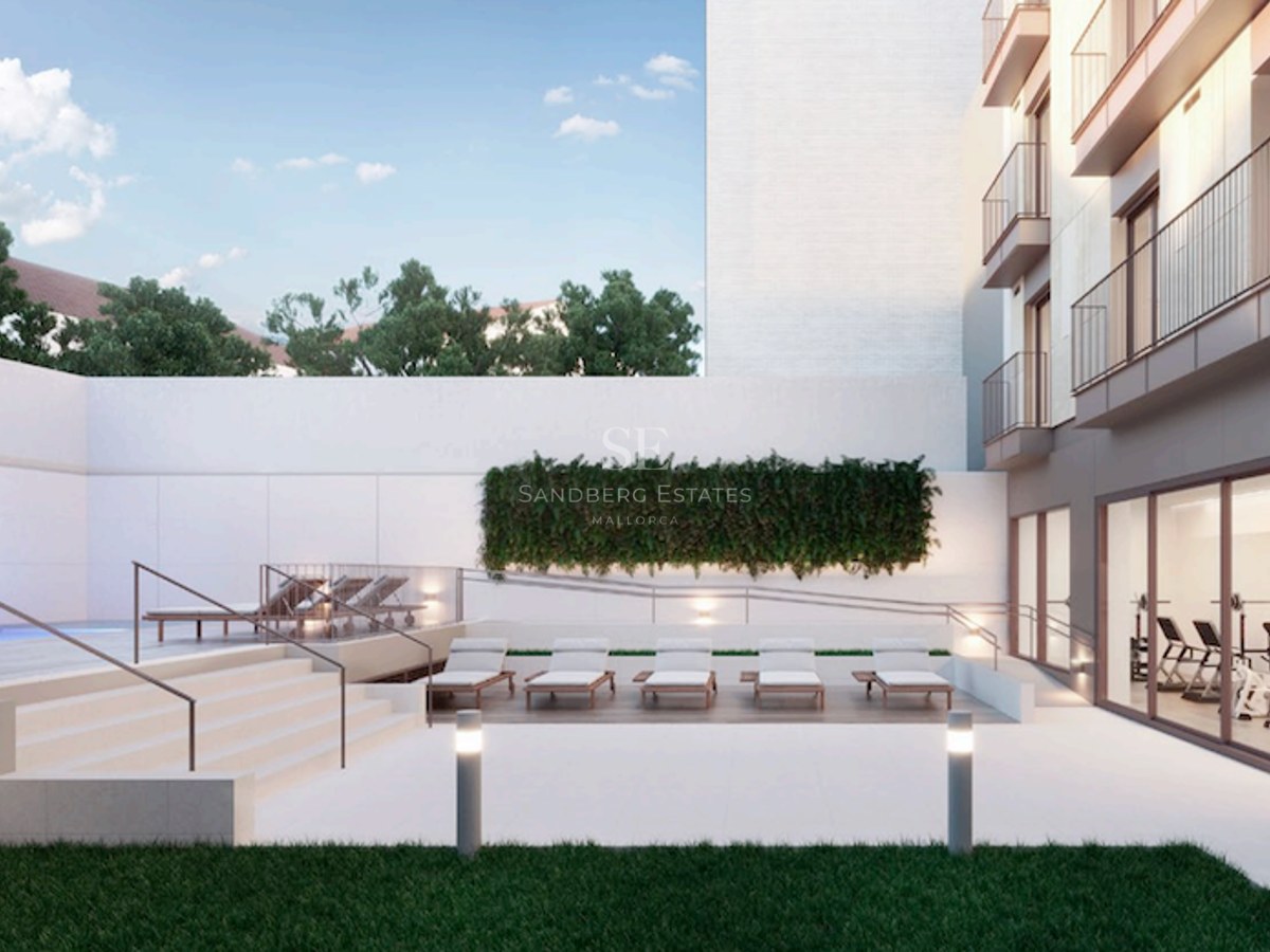 Modern outdoor terrace with sun loungers, a small pool, lawn area, and a view into a glass-walled indoor gym.