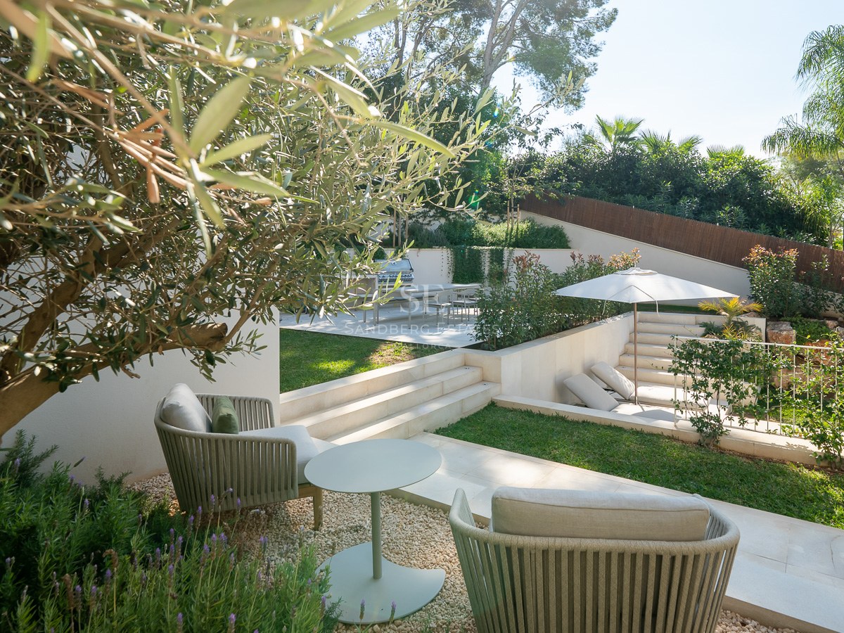 Jardin à plusieurs niveaux avec olivier, mobilier de designer, espace barbecue et pelouse sous le soleil.