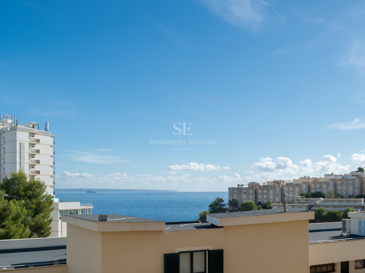Panoramic view of the blue sea with white coastal buildings and green pine trees under a clear sky.