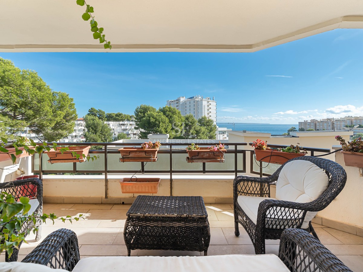 Covered terrace featuring wicker armchairs, plants, and a sea view under a clear blue sky.