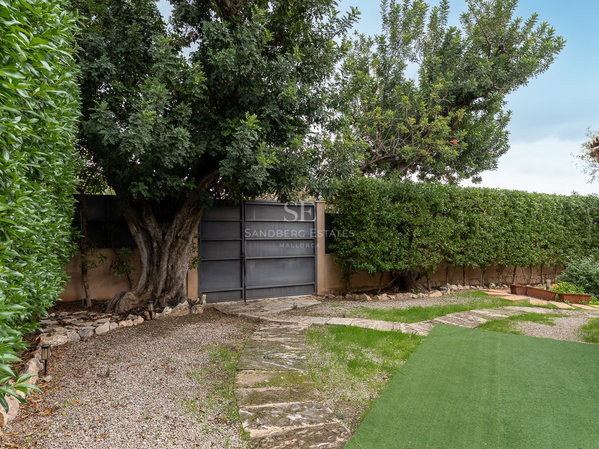 Private garden featuring a stone path, high hedges, a large mature tree, and a metal gate under natural daylight.